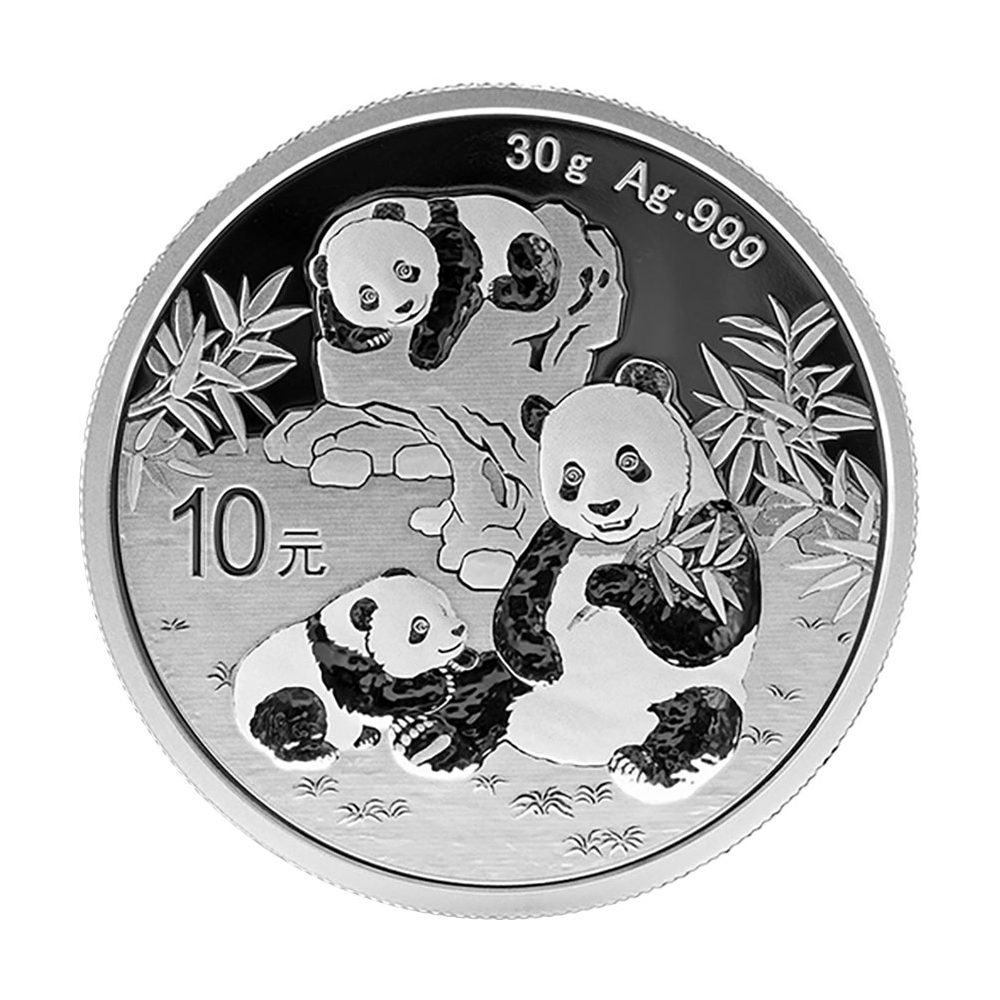 Moneda de plata China 10 Yuan Panda 2025  - 2